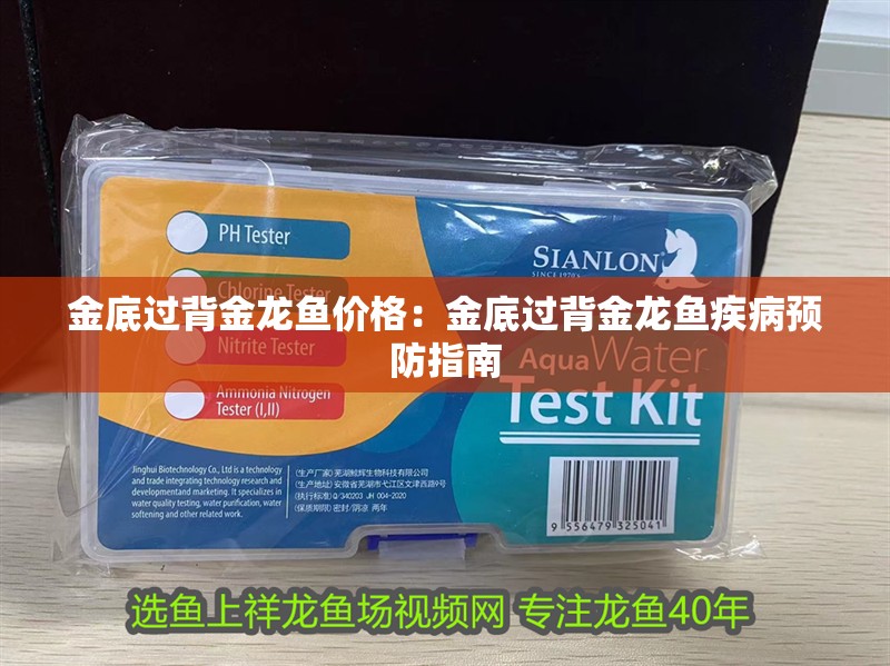 金底過背金龍魚價格：金底過背金龍魚疾病預防指南