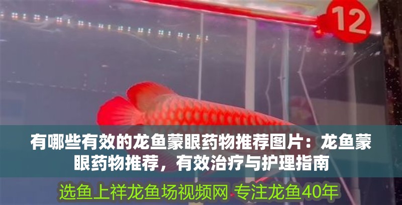 有哪些有效的龍魚蒙眼藥物推薦圖片：龍魚蒙眼藥物推薦，有效治療與護理指南