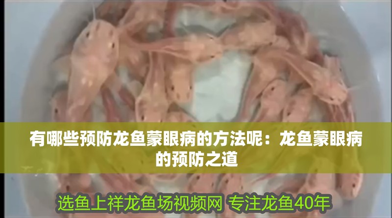 有哪些預防龍魚蒙眼病的方法呢：龍魚蒙眼病的預防之道