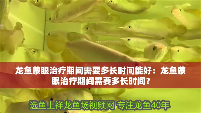 龍魚蒙眼治療期間需要多長時間能好：龍魚蒙眼治療期間需要多長時間？