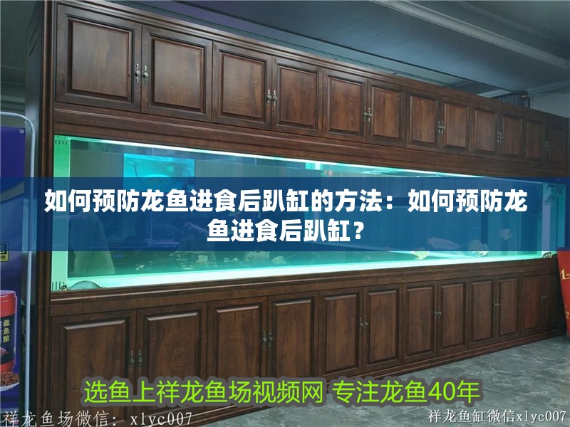 如何預防龍魚進食后趴缸的方法：如何預防龍魚進食后趴缸？