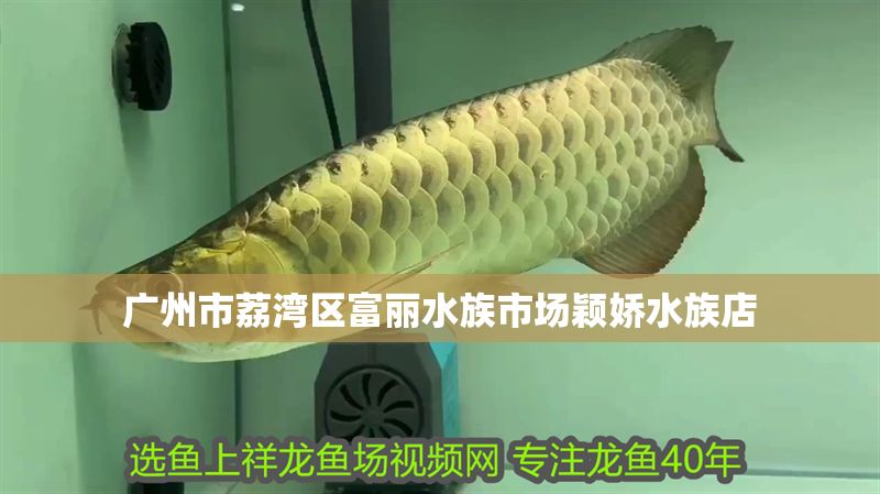 廣州市荔灣區富麗水族市場穎嬌水族店 全國水族館企業名錄 第1張 廣州市荔灣區富麗水族市場穎嬌水族店 廣州市荔灣區富麗水族市場穎嬌水族店 全國水族館企業名錄 第1張