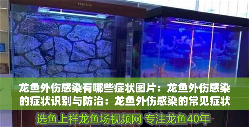龍魚外傷感染有哪些癥狀圖片：龍魚外傷感染的癥狀識別與防治：龍魚外傷感染的常見癥狀