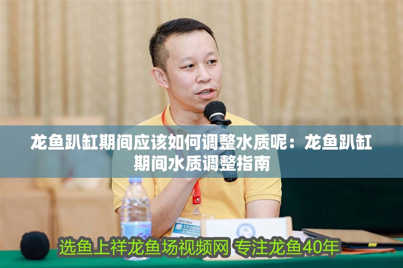 龍魚趴缸期間應(yīng)該如何調(diào)整水質(zhì)呢：龍魚趴缸期間水質(zhì)調(diào)整指南
