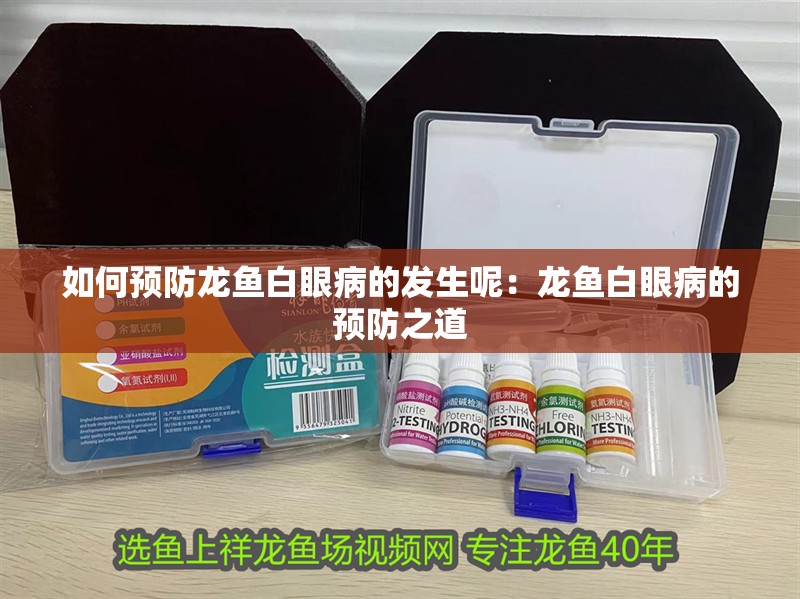 如何預防龍魚白眼病的發生呢：龍魚白眼病的預防之道