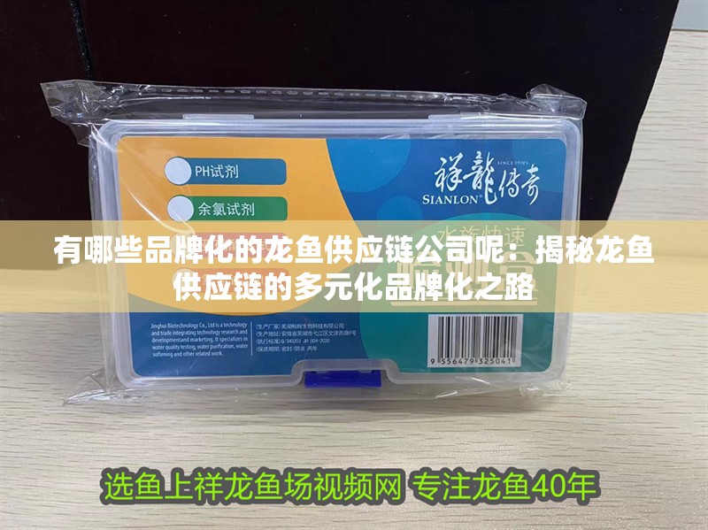有哪些品牌化的龍魚供應鏈公司呢：揭秘龍魚供應鏈的多元化品牌化之路