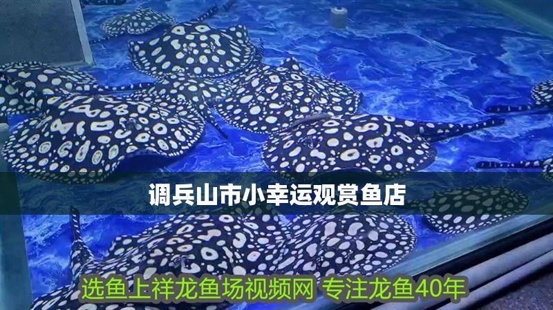 調兵山市小幸運觀賞魚店 調兵山市小幸運觀賞魚店 全國水族館企業名錄 第1張