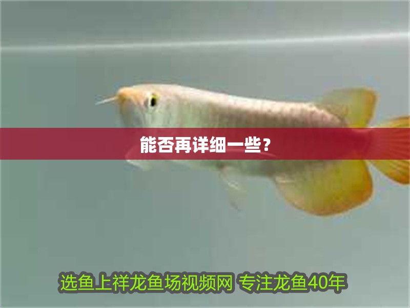 能否再詳細一些？