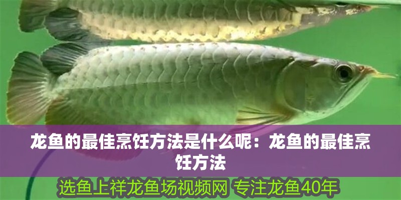 龍魚的最佳烹飪方法是什么呢：龍魚的最佳烹飪方法