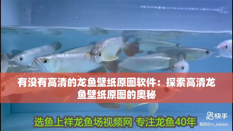 有沒有高清的龍魚壁紙原圖軟件：探索高清龍魚壁紙原圖的奧秘