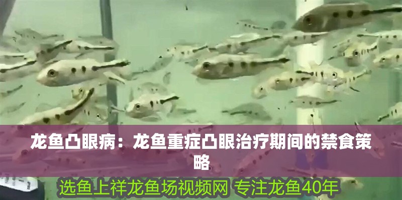 龍魚凸眼病：龍魚重癥凸眼治療期間的禁食策略