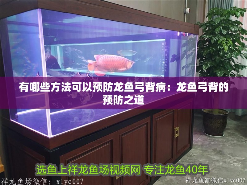 有哪些方法可以預防龍魚弓背病：龍魚弓背的預防之道