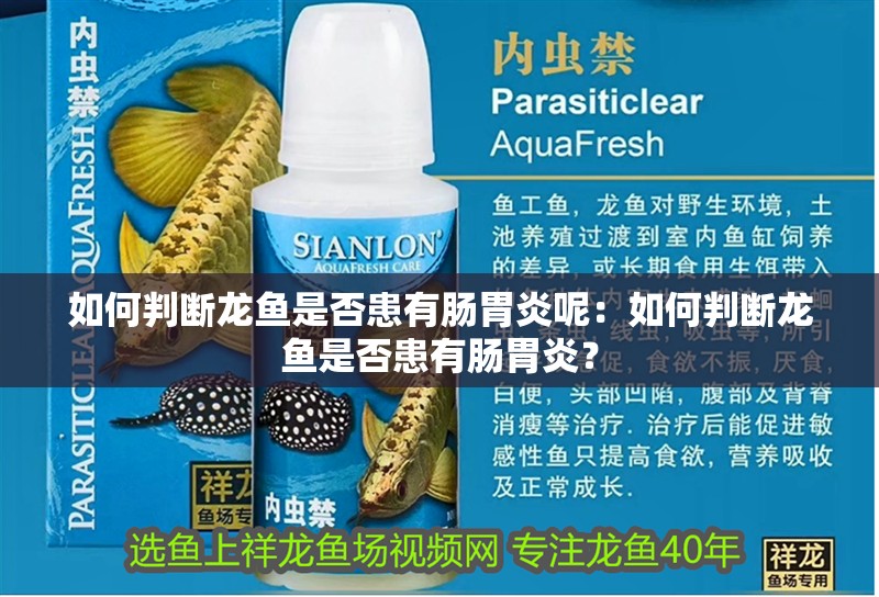 如何判斷龍魚是否患有腸胃炎呢：如何判斷龍魚是否患有腸胃炎？