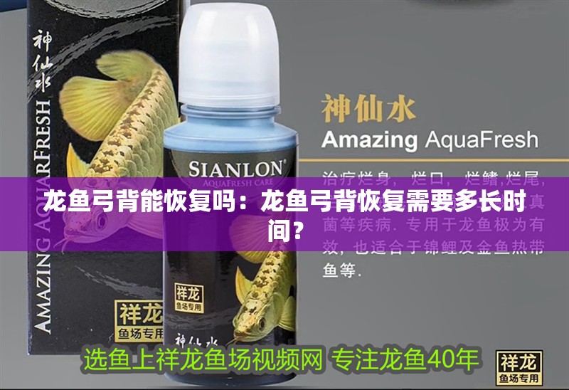龍魚弓背能恢復嗎：龍魚弓背恢復需要多長時間？
