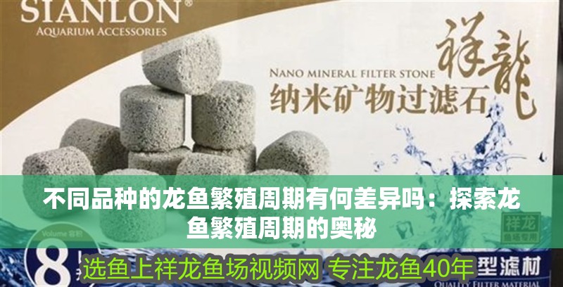 不同品種的龍魚繁殖周期有何差異嗎：探索龍魚繁殖周期的奧秘