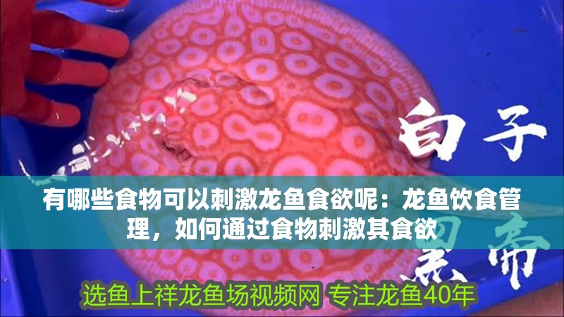 有哪些食物可以刺激龍魚食欲呢：龍魚飲食管理，如何通過食物刺激其食欲