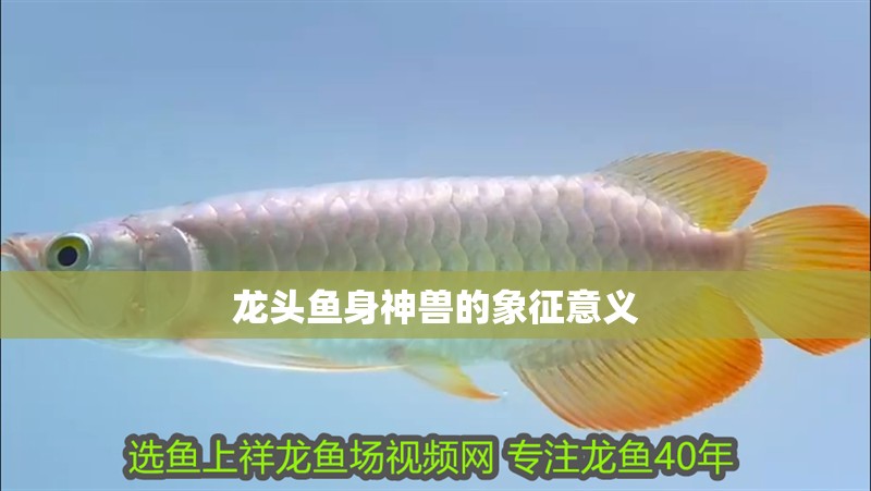 龍頭魚身神獸的象征意義