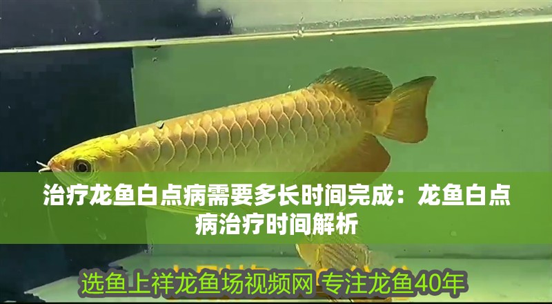 治療龍魚白點(diǎn)病需要多長(zhǎng)時(shí)間完成：龍魚白點(diǎn)病治療時(shí)間解析