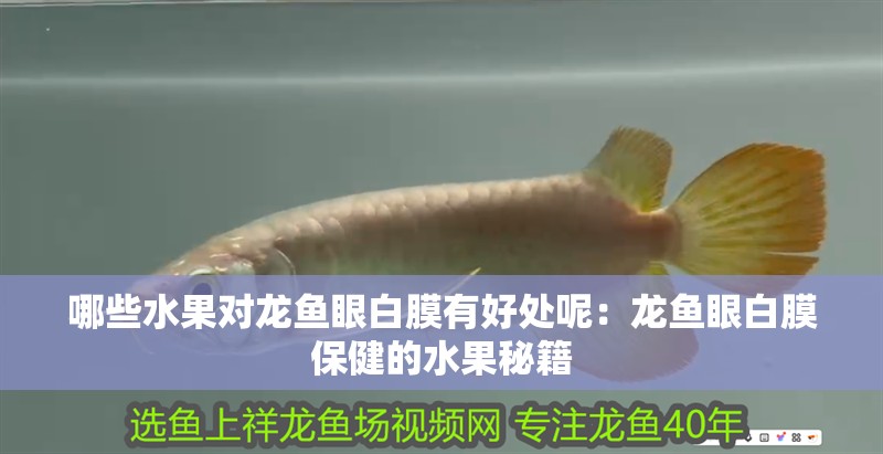哪些水果對龍魚眼白膜有好處呢：龍魚眼白膜保健的水果秘籍