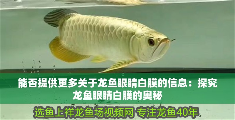能否提供更多關于龍魚眼睛白膜的信息：探究龍魚眼睛白膜的奧秘