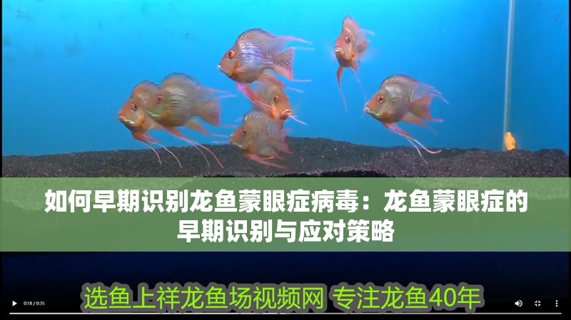 如何早期識別龍魚蒙眼癥病毒：龍魚蒙眼癥的早期識別與應對策略