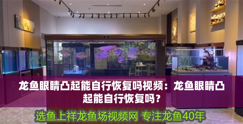 龍魚(yú)眼睛凸起能自行恢復(fù)嗎視頻：龍魚(yú)眼睛凸起能自行恢復(fù)嗎？