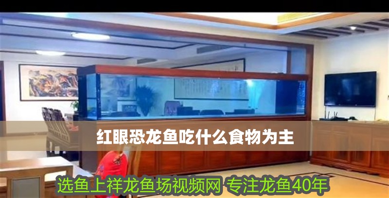 紅眼恐龍魚吃什么食物為主