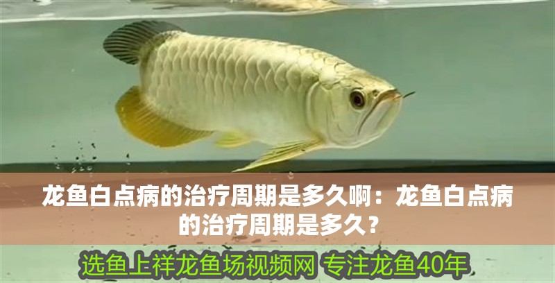 龍魚白點(diǎn)病的治療周期是多久啊：龍魚白點(diǎn)病的治療周期是多久？