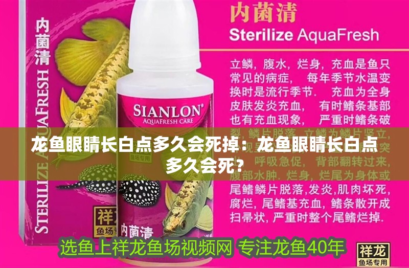龍魚眼睛長白點多久會死掉：龍魚眼睛長白點多久會死？