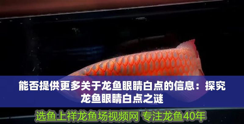 能否提供更多關于龍魚眼睛白點的信息：探究龍魚眼睛白點之謎