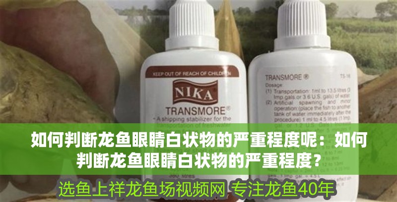如何判斷龍魚眼睛白狀物的嚴重程度呢：如何判斷龍魚眼睛白狀物的嚴重程度？