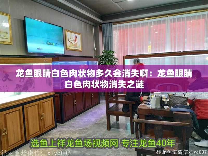 龍魚(yú)眼睛白色肉狀物多久會(huì)消失啊：龍魚(yú)眼睛白色肉狀物消失之謎