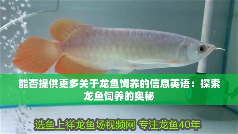 能否提供更多關于龍魚飼養(yǎng)的信息英語：探索龍魚飼養(yǎng)的奧秘