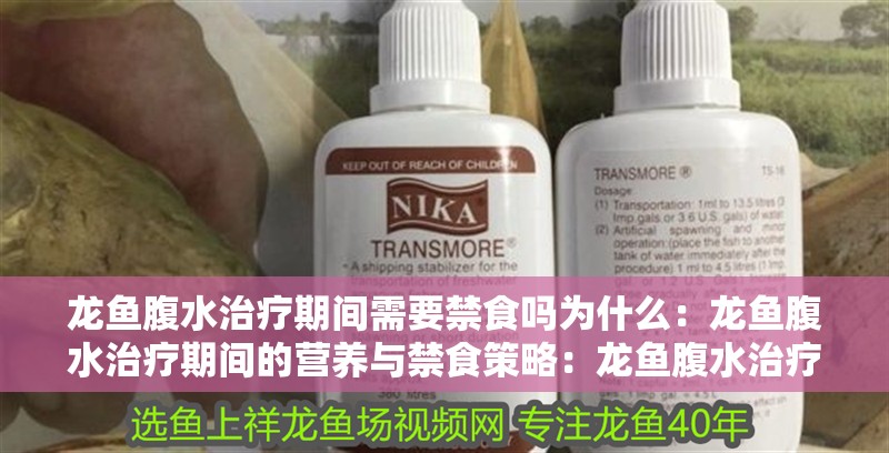 龍魚腹水治療期間需要禁食嗎為什么：龍魚腹水治療期間的營養與禁食策略：龍魚腹水治療期間是否需要禁食