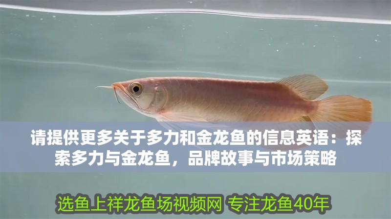 請提供更多關于多力和金龍魚的信息英語：探索多力與金龍魚，品牌故事與市場策略