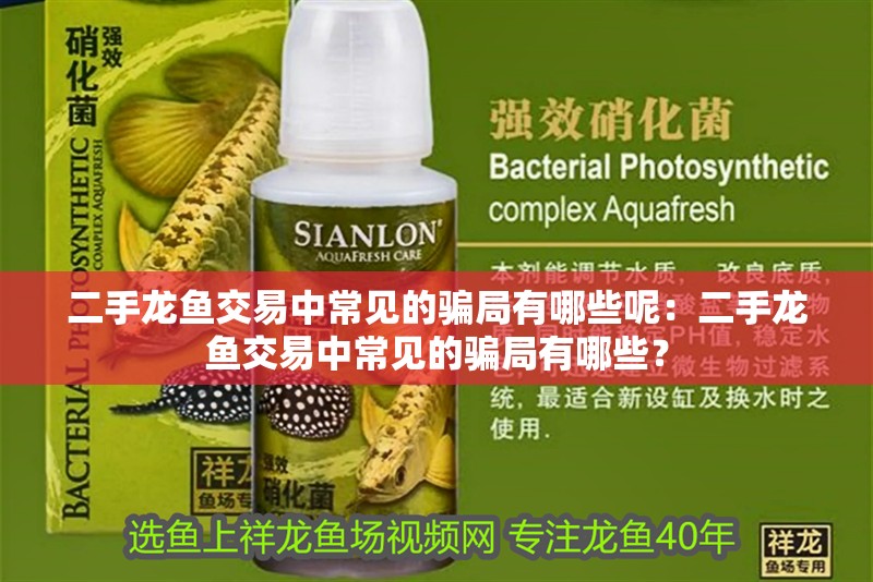 二手龍魚交易中常見的騙局有哪些呢：二手龍魚交易中常見的騙局有哪些？