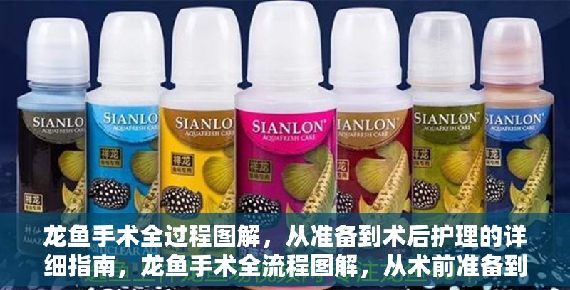 龍魚手術全過程圖解，從準備到術后護理的詳細指南，龍魚手術全流程圖解，從術前準備到術后護理的完整指南