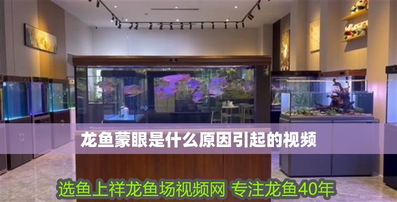 龍魚蒙眼是什么原因引起的視頻