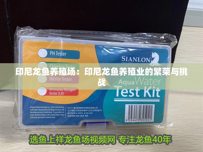 印尼龍魚養殖場：印尼龍魚養殖業的繁榮與挑戰