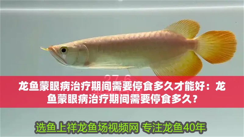 龍魚蒙眼病治療期間需要停食多久才能好：龍魚蒙眼病治療期間需要停食多久？