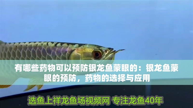 有哪些藥物可以預防銀龍魚蒙眼的：銀龍魚蒙眼的預防，藥物的選擇與應用