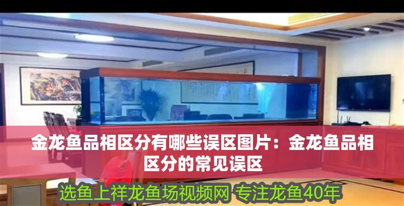 金龍魚品相區分有哪些誤區圖片：金龍魚品相區分的常見誤區