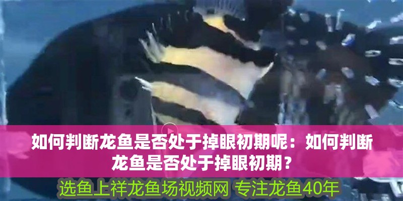 如何判斷龍魚是否處于掉眼初期呢：如何判斷龍魚是否處于掉眼初期？