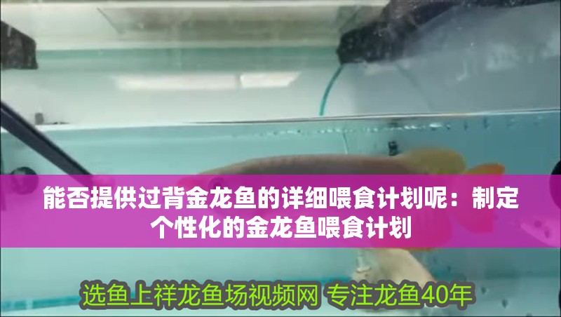 能否提供過背金龍魚的詳細喂食計劃呢：制定個性化的金龍魚喂食計劃