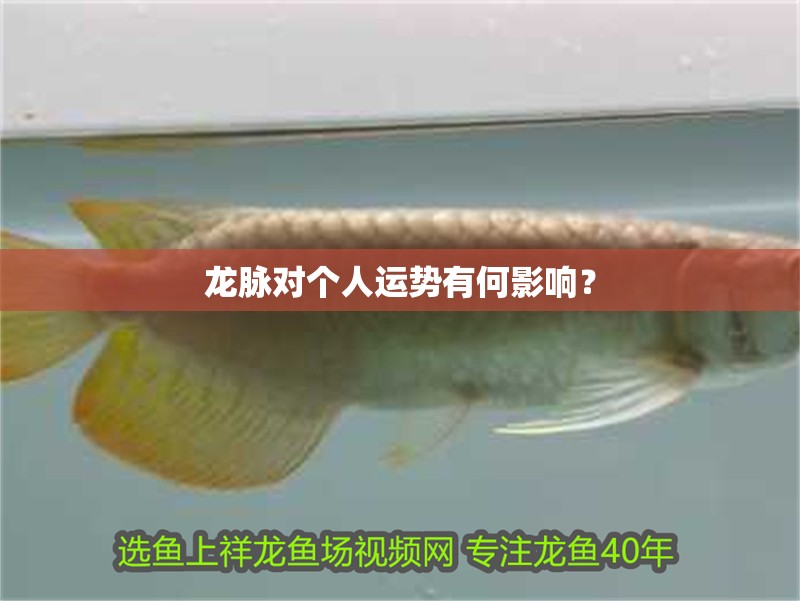 龍脈對個人運勢有何影響？