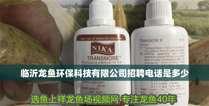 臨沂龍魚環保科技有限公司招聘電話是多少