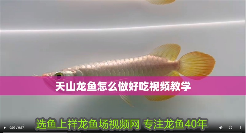 天山龍魚怎么做好吃視頻教學