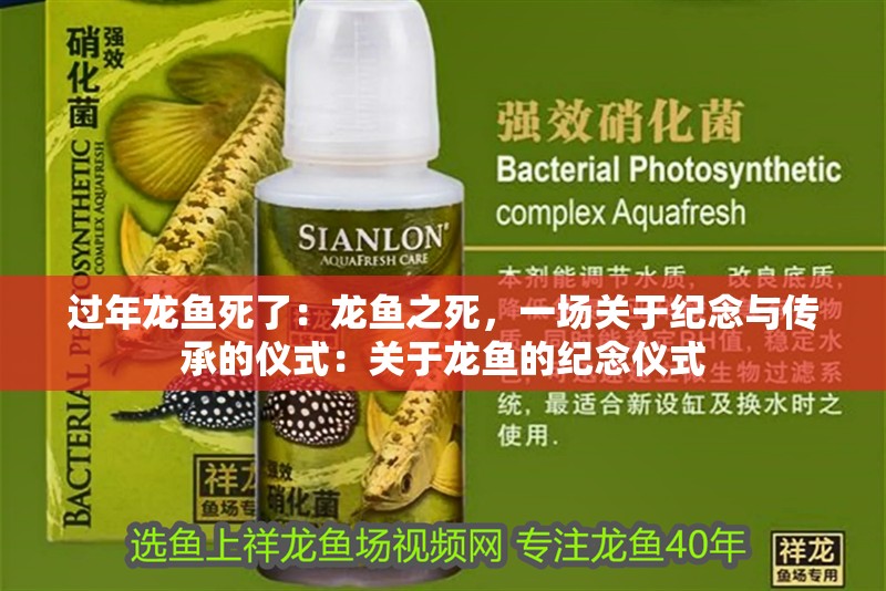 過年龍魚死了：龍魚之死，一場關于紀念與傳承的儀式：關于龍魚的紀念儀式