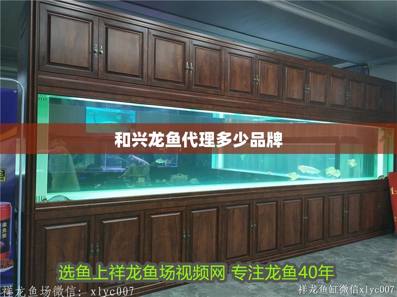 和興龍魚代理多少品牌