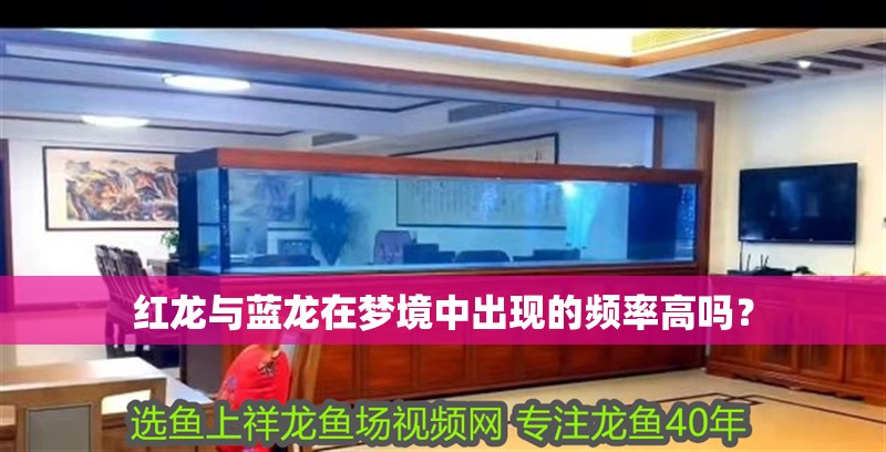 紅龍與藍龍在夢境中出現的頻率高嗎？